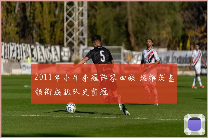 2011年小牛夺冠阵容回顾 诺维茨基领衔成就队史首冠