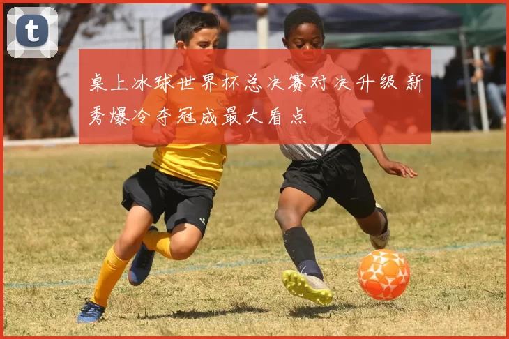 桌上冰球世界杯总决赛对决升级 新秀爆冷夺冠成最大看点