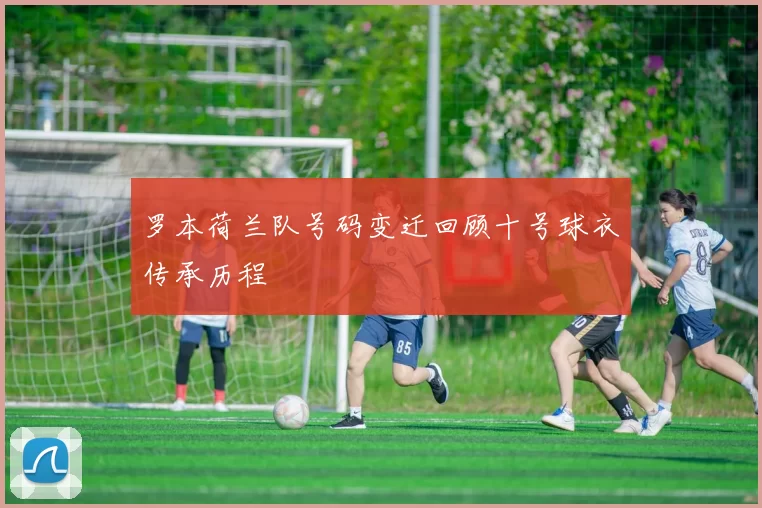 罗本荷兰队号码变迁回顾十号球衣传承历程