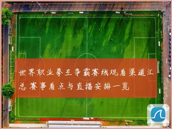 世界职业拳王争霸赛线观看渠道汇总 赛事看点与直播安排一览